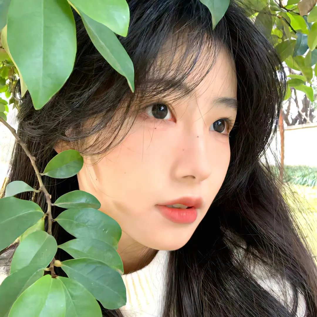 绿林怪杰